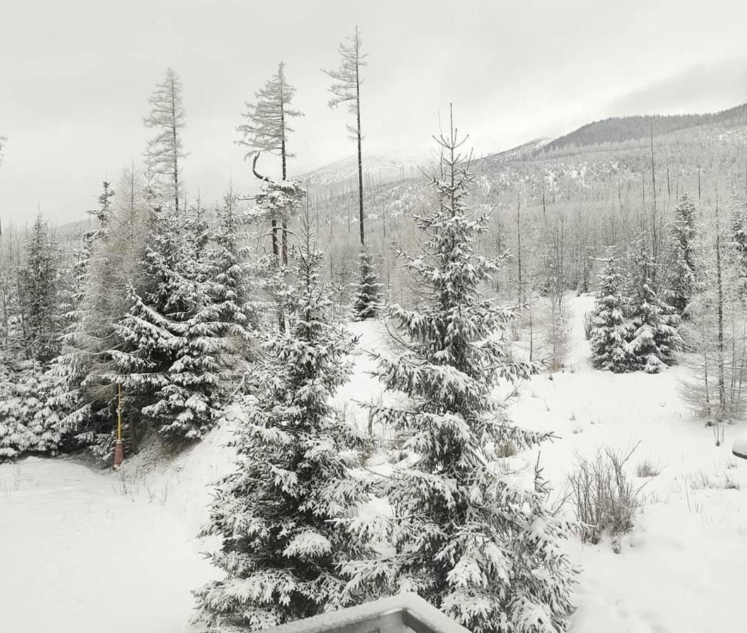 Ubytovanie Pod Gerlachom Vysoké Tatry エクステリア 写真