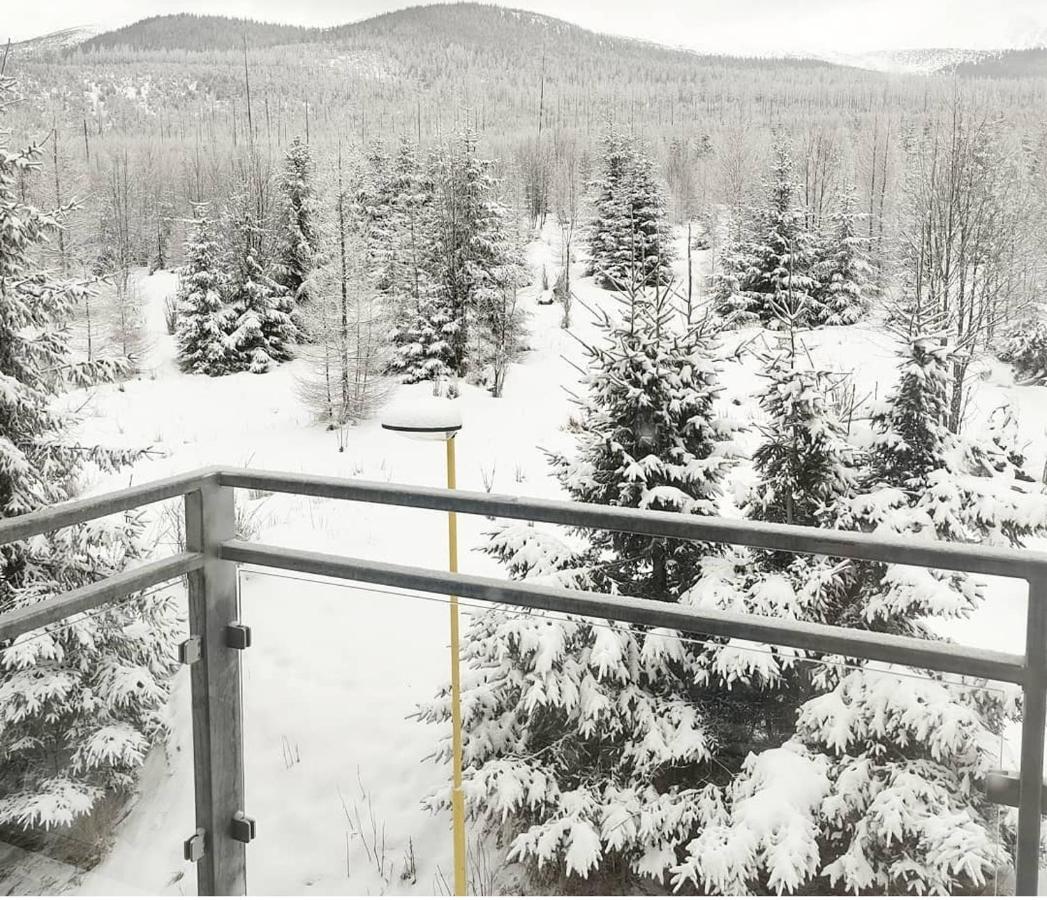 Ubytovanie Pod Gerlachom Vysoké Tatry エクステリア 写真